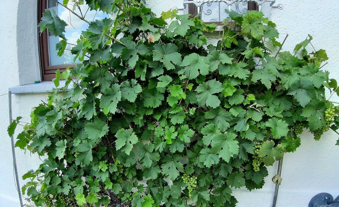 Ferienwohnung Albstadt Panorama Dış mekan fotoğraf