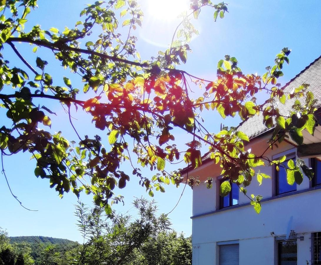 Ferienwohnung Albstadt Panorama Dış mekan fotoğraf